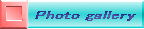 e[}ʂ̂o@f